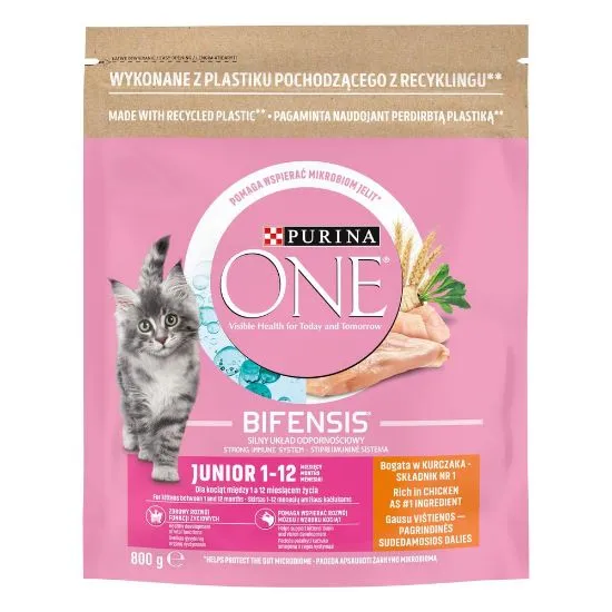 One kuiv kassitoit Junior kana 800g