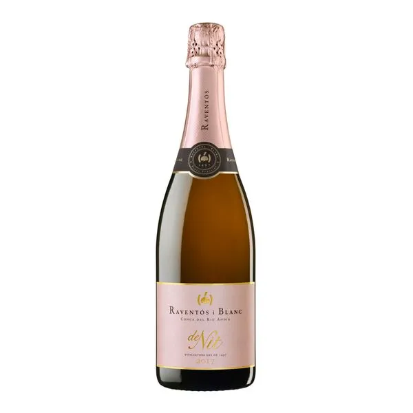 Raventos'i Blanc De Nit Brut Rose 75cl Hispaania