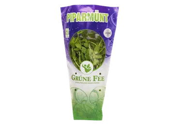Piparmünt GRÜNE FEE