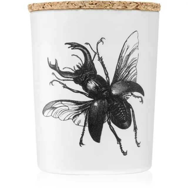 Vila Hermanos Insect Lucanus Cervus lõhnaküünal 75 g
