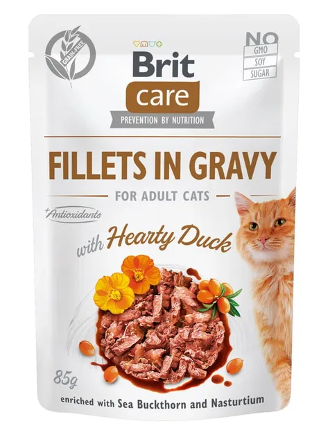 Brit Care einekotike kassile pardilihaga, 85 g