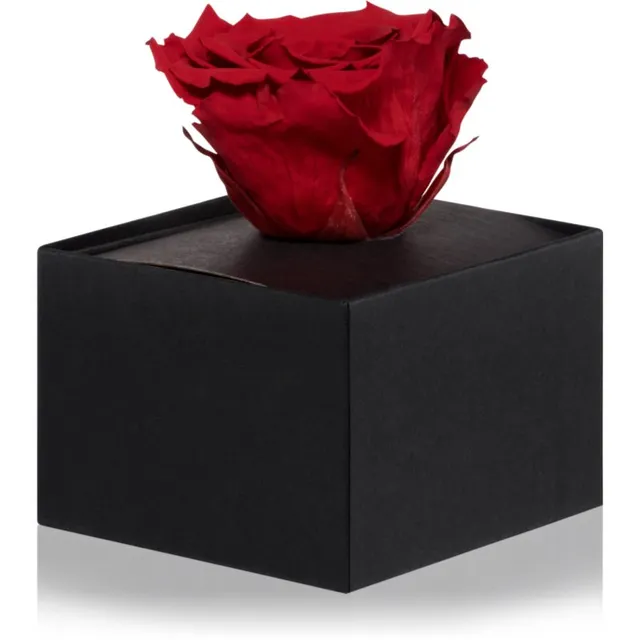 RoseAmor Red stabiliseeritud roos karbis 1 tk