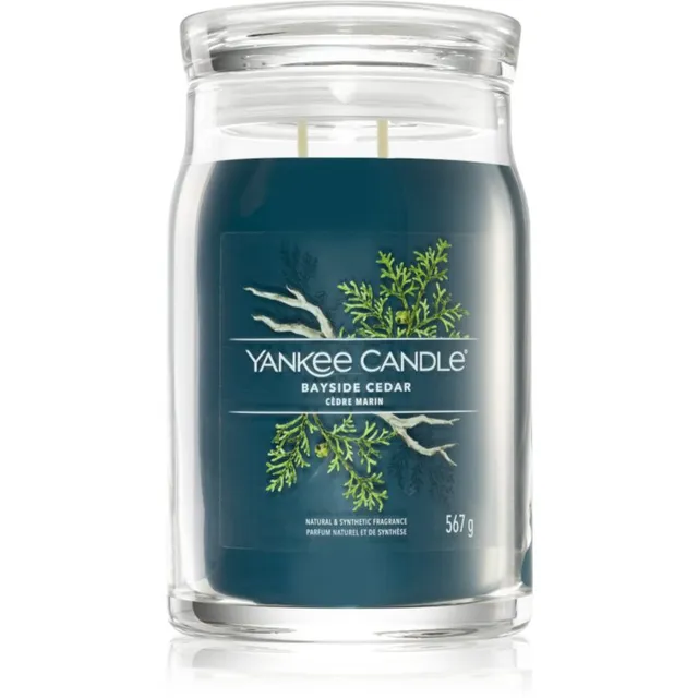 Yankee Candle Bayside Cedar lõhnaküünal Signature 567 g