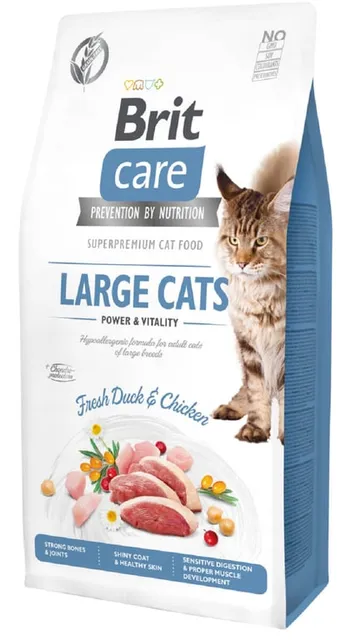 Brit Care Large Cats kassi kuivtoit suurele kassile, part/kana, 2 kg