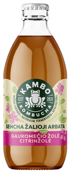 Kombucha jook PÕDRAKANEP· SIDRUNHEIN