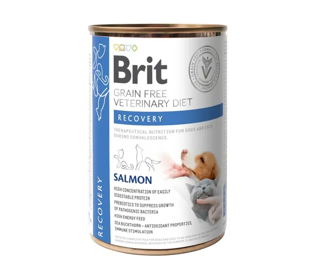 Brit GF Recovery erisööt, konserv kassile/koerale, 400 g