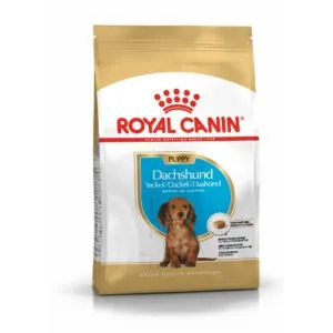Royal Canin Taksi kutsikatoit 1,5kg