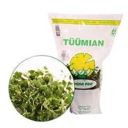 Tüümian potis Grüne Fee Eesti