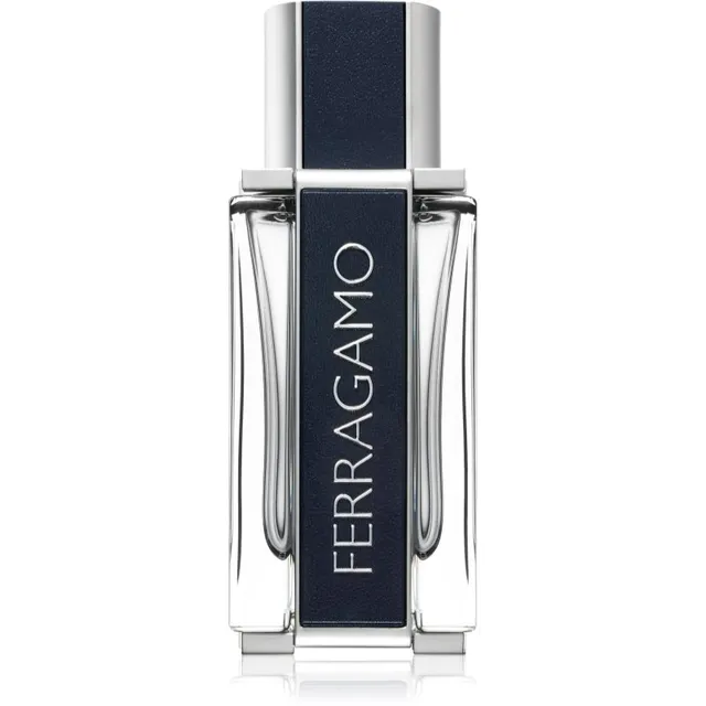 Ferragamo Ferragamo tualettvesi meestele 50 ml