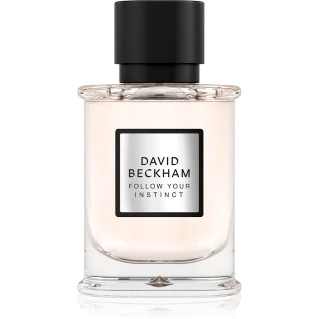 David Beckham Follow Your Instinct Parfüümvesi meestele 50 ml