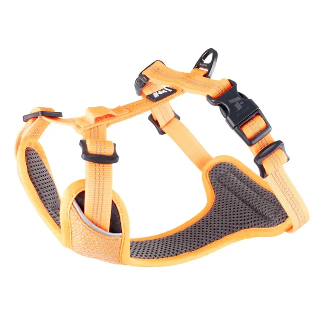 Feel Active koera traksid helkuriga, S, oranž