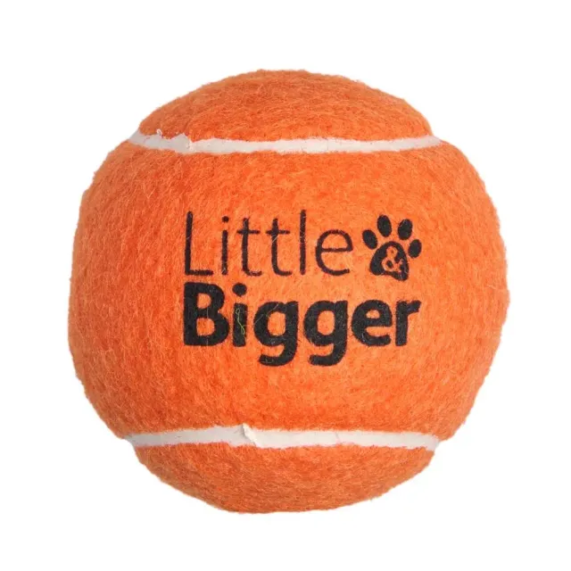 Little&Bigger Tennis koera mänguasi, piiksuv pall, oranž, M