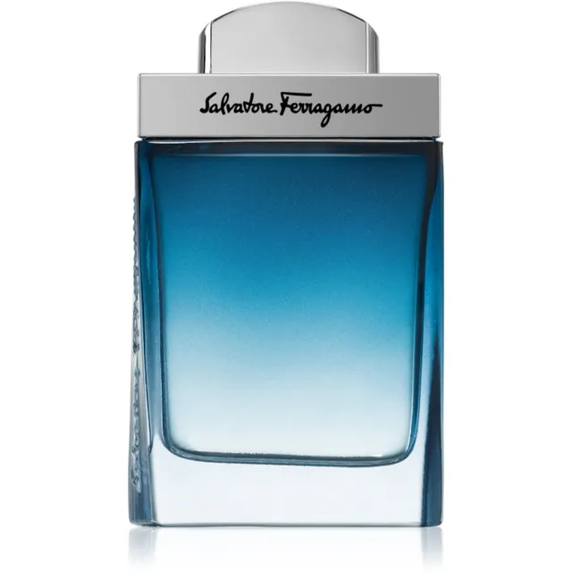 Ferragamo Subtil Pour Homme tualettvesi meestele 50 ml