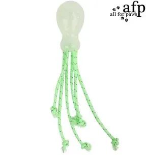 Pimedas helendav mänguasi koerale Glowing Octopus (AFP - K-Nite)