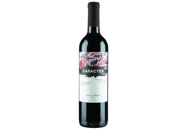 Vein S.A.Caracter Cab.Malbec'20 750ml