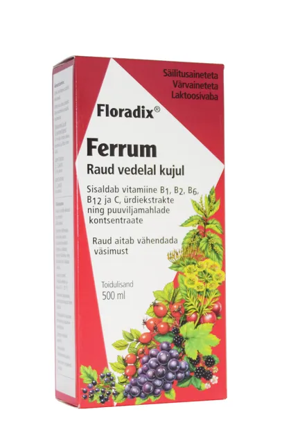SALUS FLORADIX RAUD ÜRDI-MAHLAKONTSENTRAAT 500ML