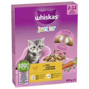 Whiskas Junior kuivt.kassile 300g kana