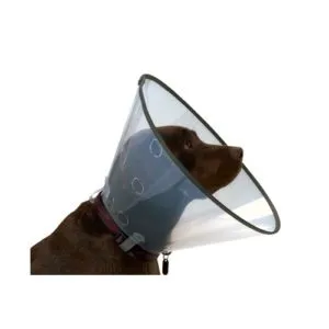 Buster kummiäärega klikk-krae koerale 30 cm