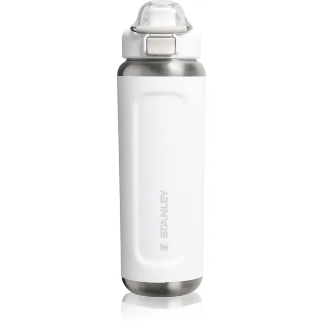 Stanley The Wellspring Bottle termos Frost 1 tk