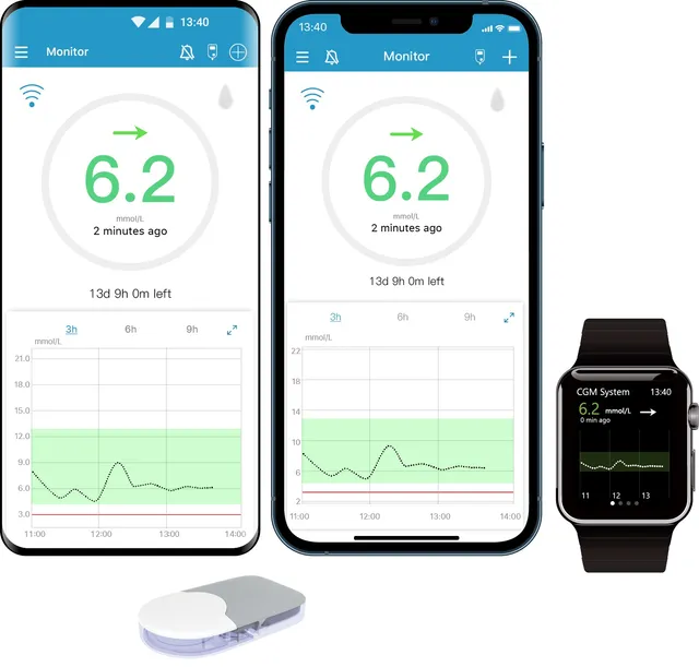EASYSENSE S9 CGM GLÜKOOSISENSOR N2
