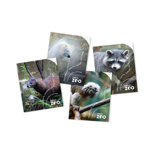 Kaustik Tallinna Loomaaed 5x5 ruut 36 lehte, TALLINNA ZOO, 1 tk