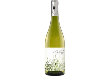 Vein RIO LINDO Chardonnay 750ml