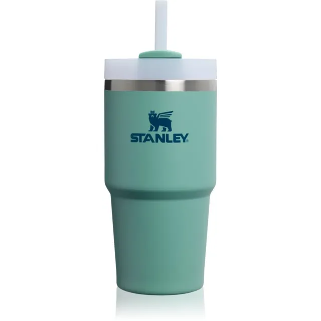 Stanley Quencher H2.O FlowState™ Tumbler kõrrega roostevabast terasest joogitops väike Spring Green 1 tk