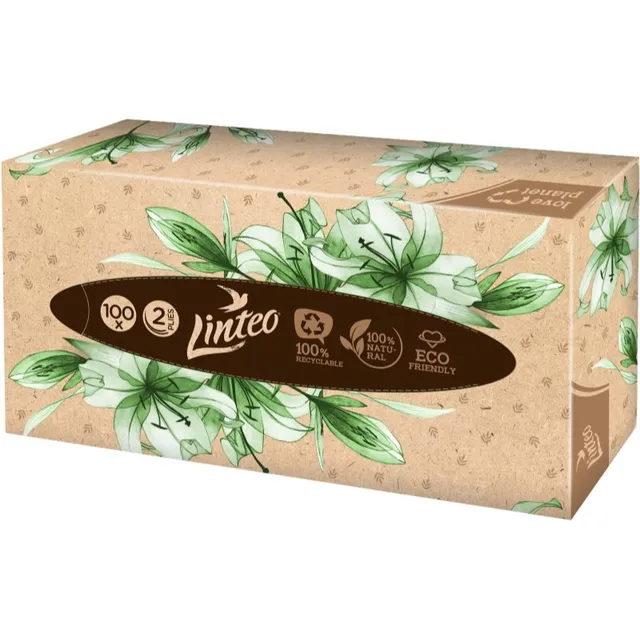 Linteo Paper Tissues Two-ply Paper, 100 pcs per box pabersalvrätikud 100 tk
