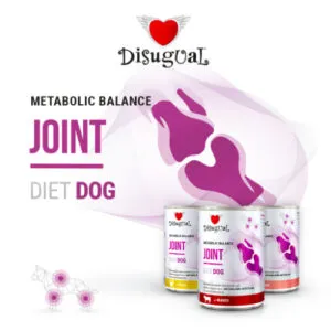 Disugual Diet Dog Joint kanaga konserv koertele 400g