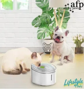 Joogivee purskkaev, vett puhastava filtriga The Purefect Pet Fountain (AFP - Lifestyle 4 Pets)