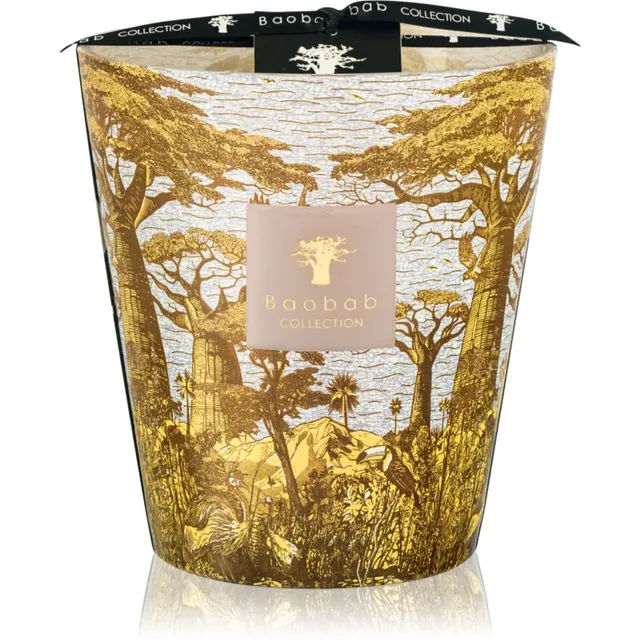 Baobab Collection Sacred Trees Bounkani lõhnaküünal 1100 g