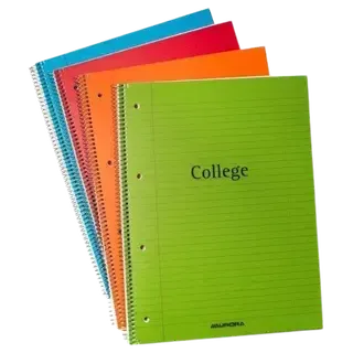 College plokk a4 plastkaanega4 auku 80 lehte jooneline