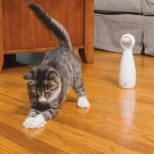 PetSafe BOLT Laser automaatne mänguasi kassile