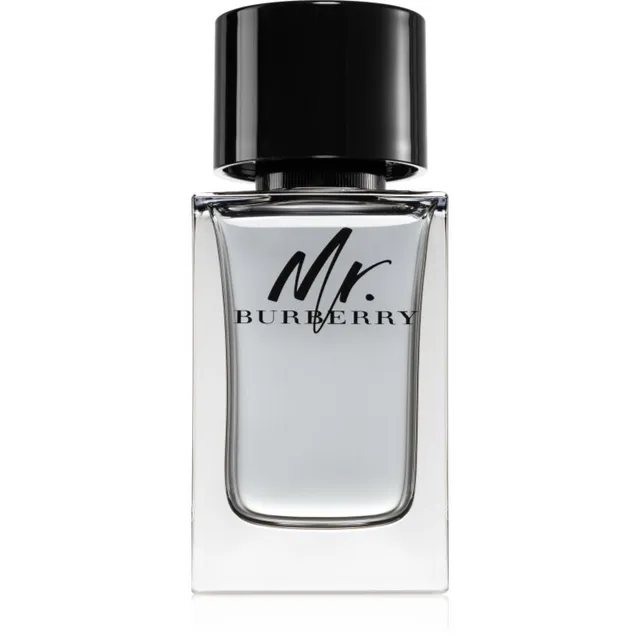 Burberry Mr. Burberry tualettvesi meestele 100 ml