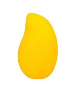 Meigišvamm Mango
