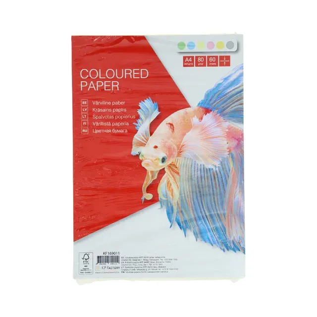 Koopiapaber värviline A4, COLLEGE, 1tk
