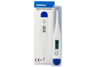 Digitaalne termomeeter T12L