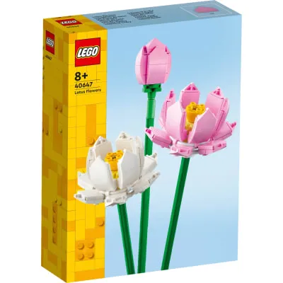 Konstr. Lego Lootoseõied 40647