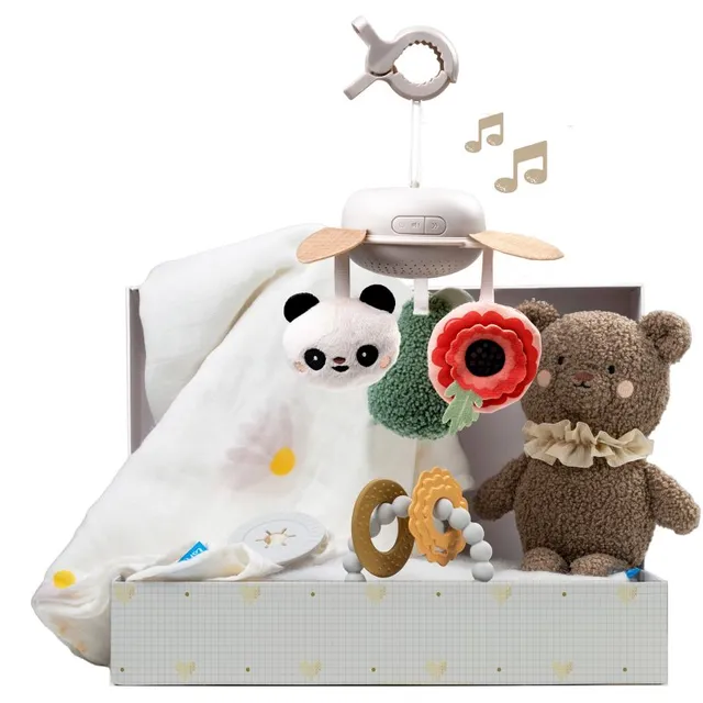 Taf Toys Luxury Newborn Kit Kinkekomplekt beebide jaoks