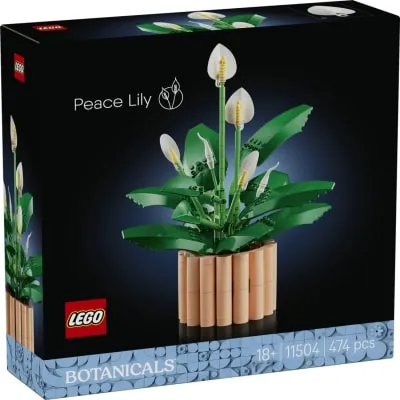 Konstruktor Lego Rahuliilia 11504