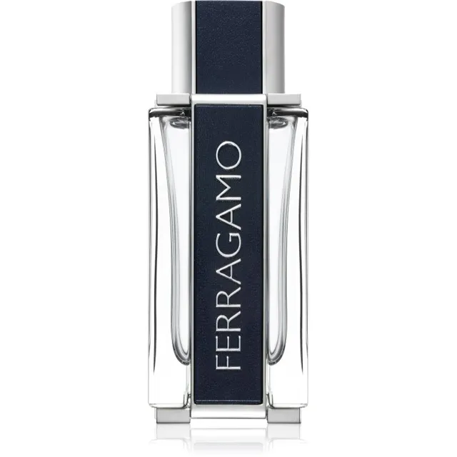 Ferragamo Ferragamo tualettvesi meestele 100 ml