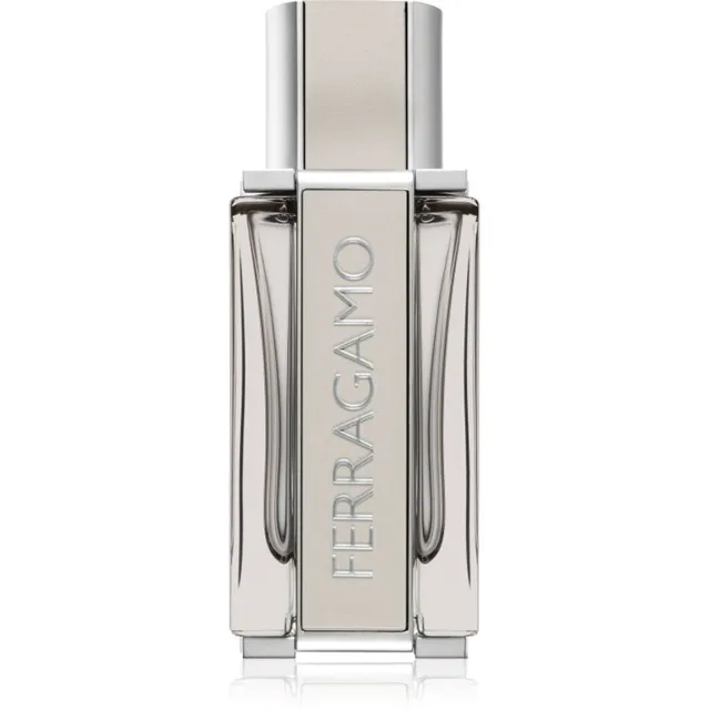 Ferragamo Ferragamo Bright Leather tualettvesi meestele 50 ml