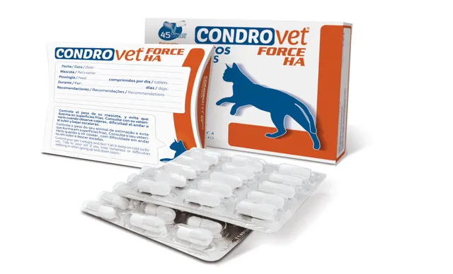 Bioiberica Condrovet Force HA kapslid kassidele, N45