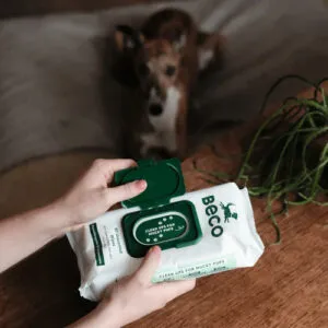 Beco Bamboo niisked salvrätikud koertele 80 tk
