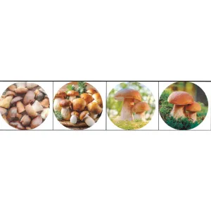 Purgikaaned 82mm 10tk keeratavad seente