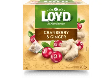 Puuv.tee LOYD jõhv.-ingver pür 20x2g