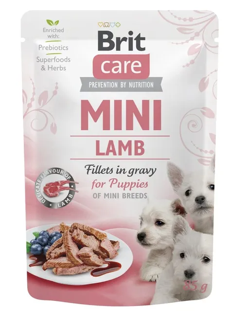 Brit Care kutsika einekotike, lammas, 85 g