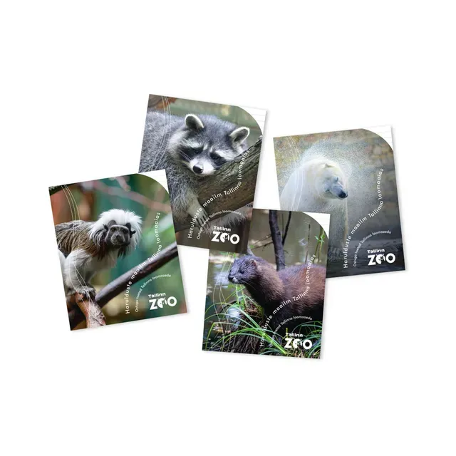 Kaustik Tallinna Loomaaed 23 joon 36 lehte, TALLINNA ZOO, 1 tk