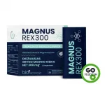 Biofarmacija Magnus REX300 N28