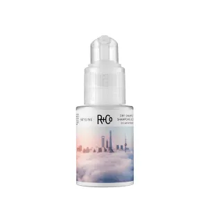 R+Co SKYLINE Volume Powder kuivšampooni pulber 28g